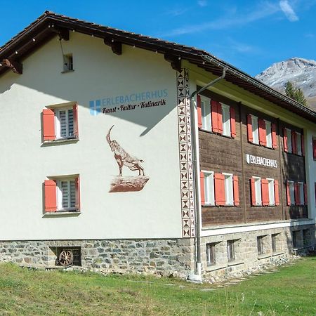 Erlebacherhus لينتسرهايدي المظهر الخارجي الصورة